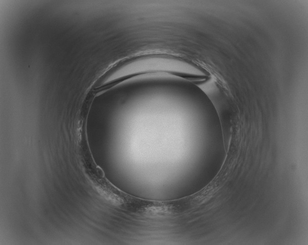 X0000082930160200702152156