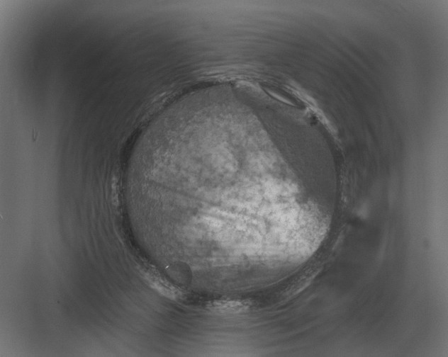 X0000082930161200702152156