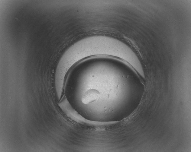 X0000082930162200702152156