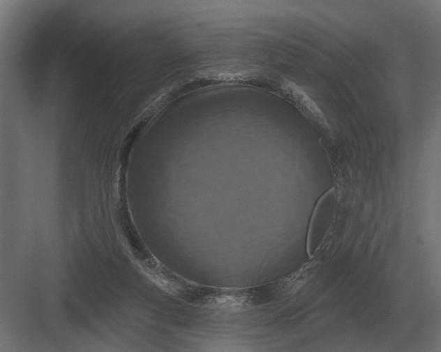 X0000082930163200702152156