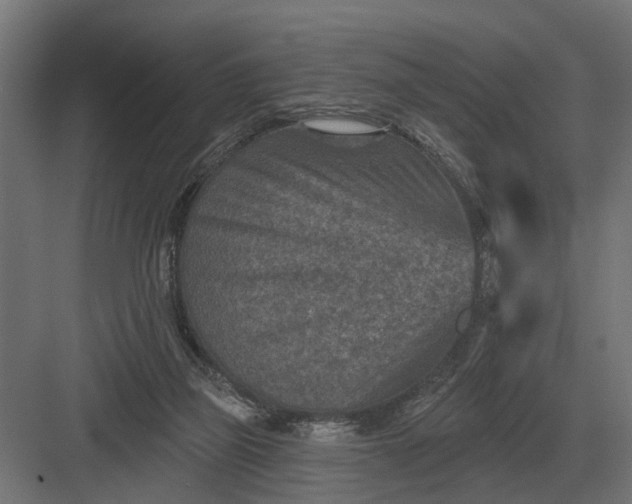 X0000082930165200702152156