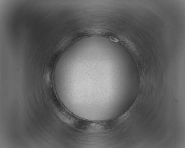 X0000082930166200702152156