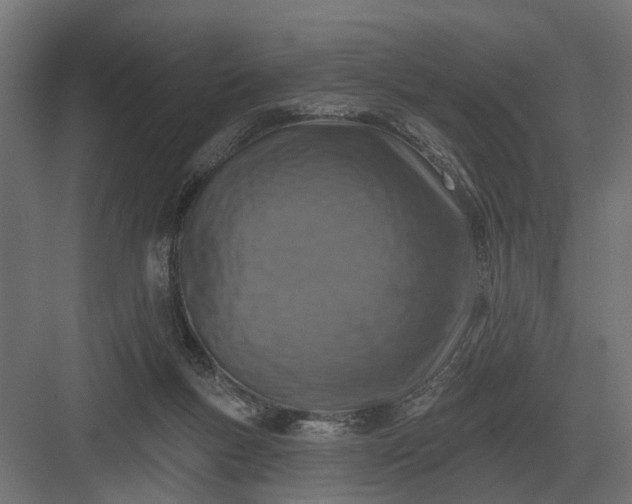 X0000082930167200702152156