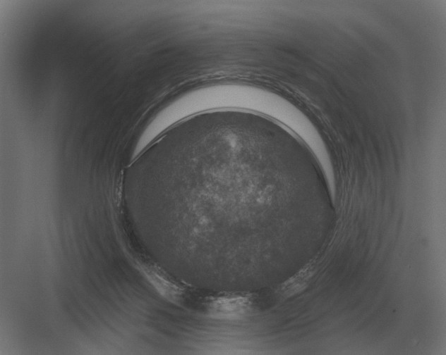 X0000082930168200702152156