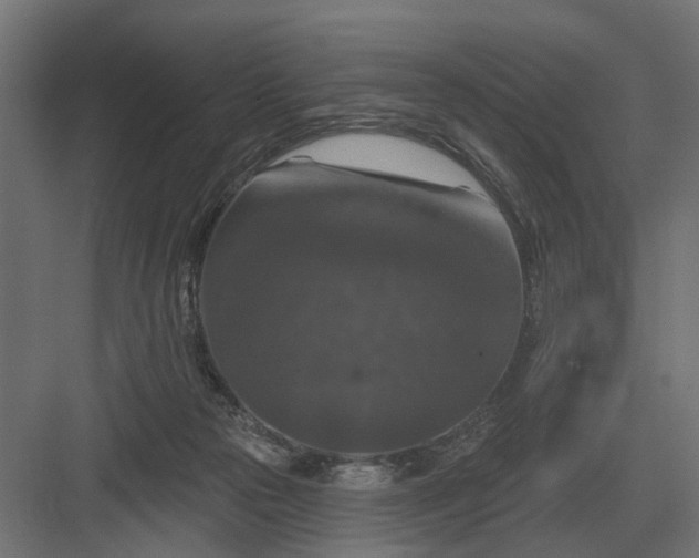 X0000082930169200702152156