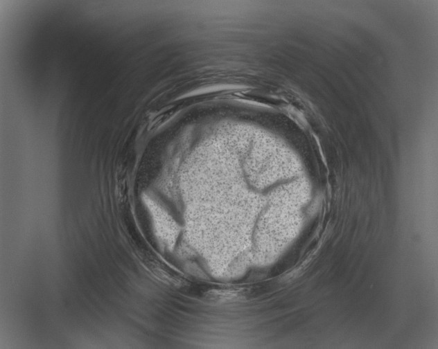 X0000082930170200702152156