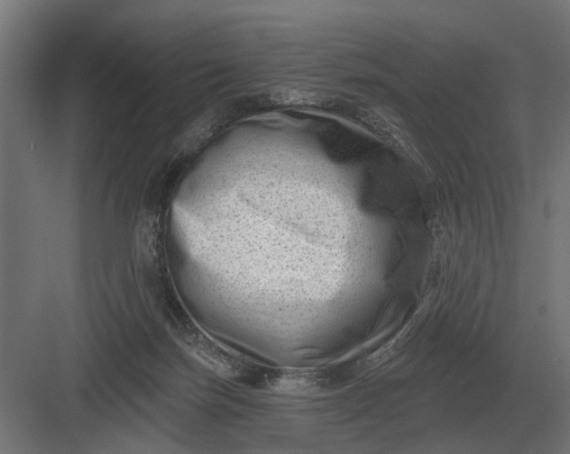 X0000082930171200702152157