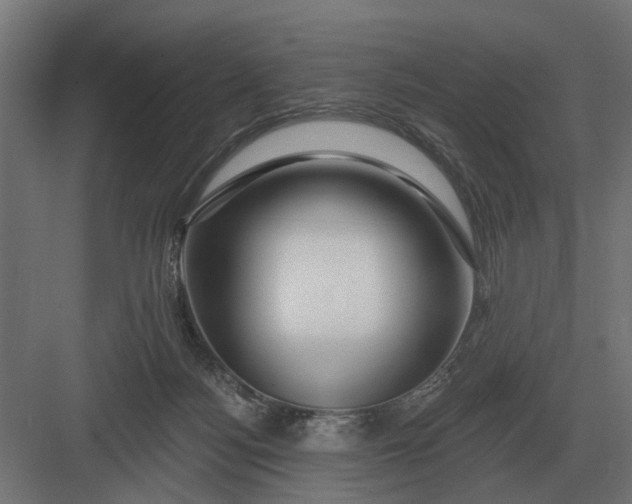 X0000082930172200702152157