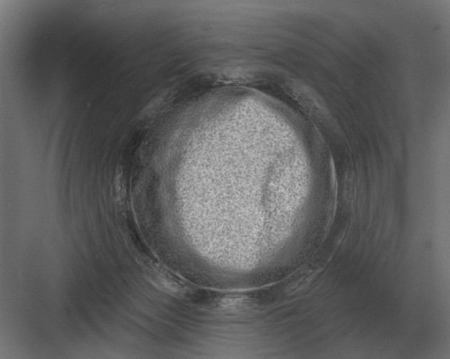 X0000082930173200702152157