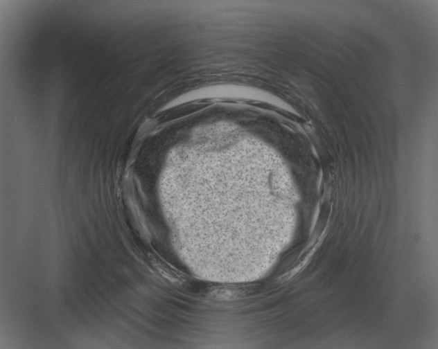 X0000082930174200702152157