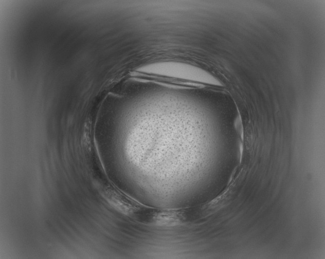 X0000082930175200702152157