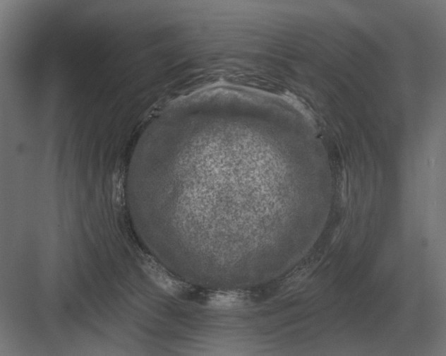 X0000082930177200702152157