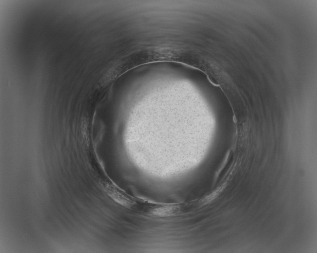 X0000082930178200702152157