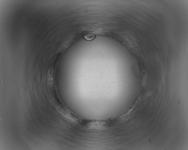 X0000082930179200702152157