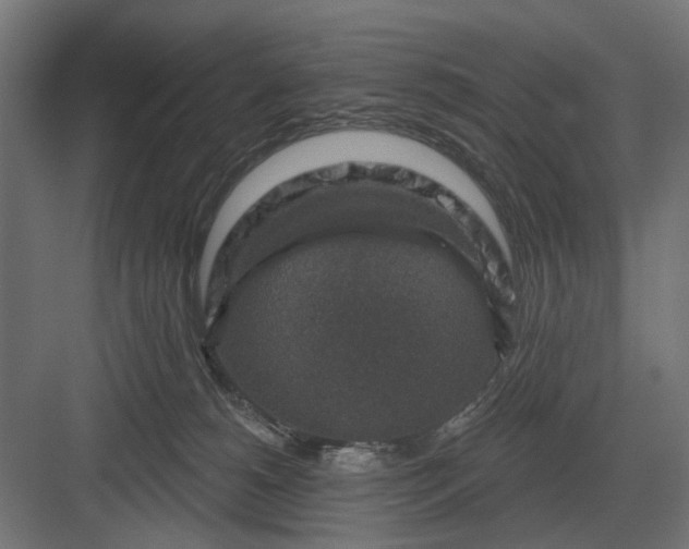 X0000082930180200702152157