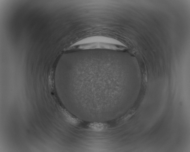 X0000082930181200702152157