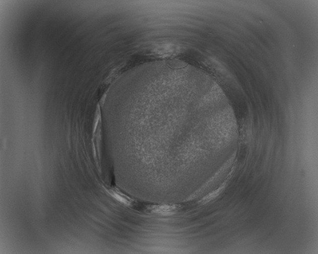 X0000082930182200702152157