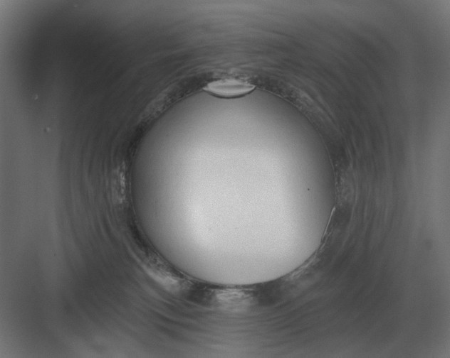 X0000082930183200702152157