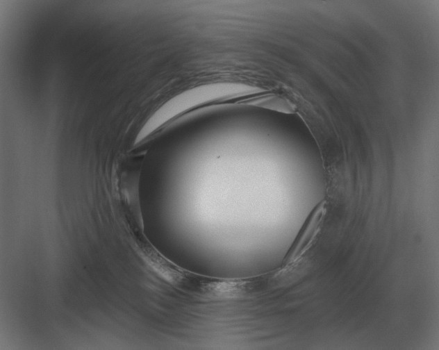 X0000082930184200702152157