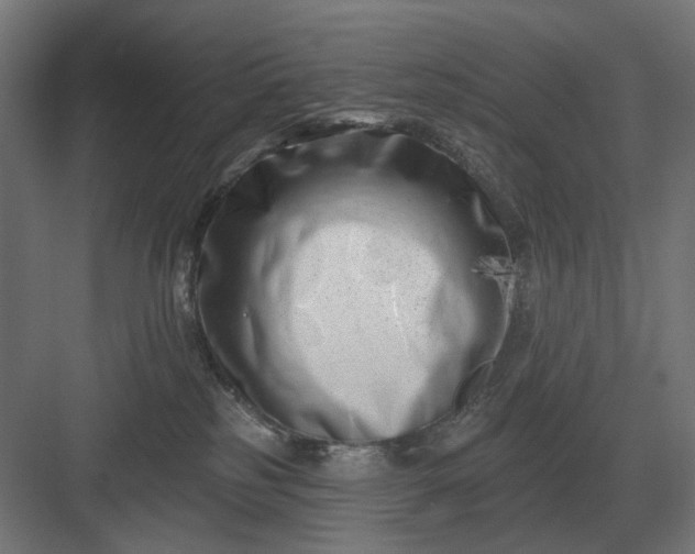 X0000082930185200702152157