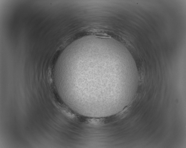 X0000082930187200702152157