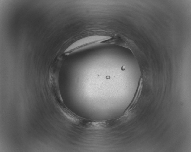 X0000082930188200702152157