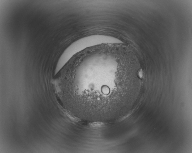 X0000082930189200702152157