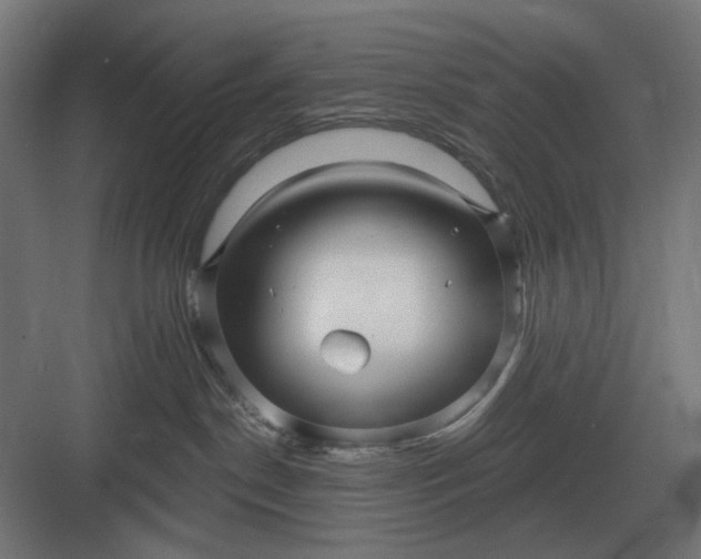 X0000082930190200702152157