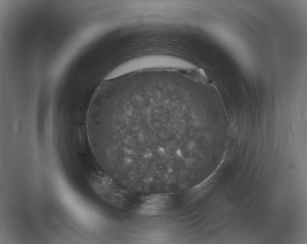 X0000082930191200702152157