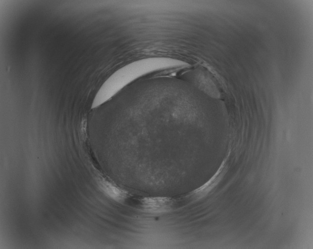 X0000082930192200702152157