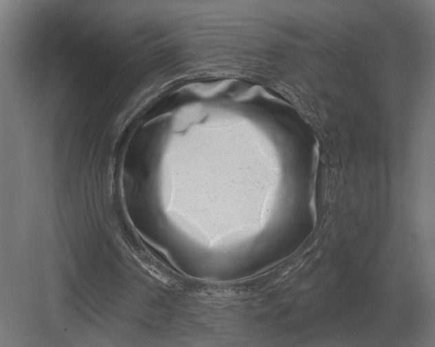 X0000082930194200702152156