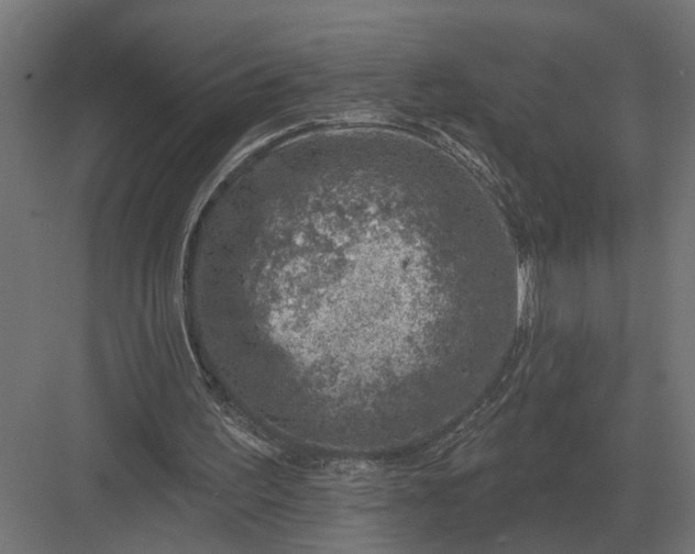 X0000082930195200702152156