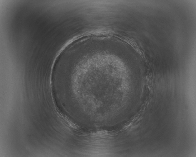 X0000082930196200702152156