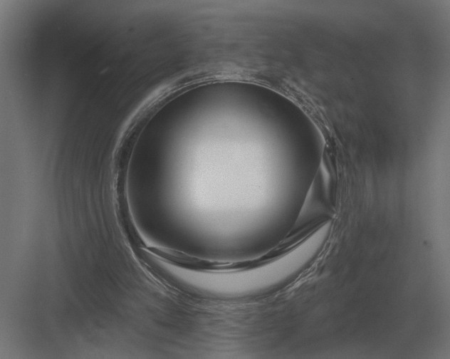 X0000082930197200702152156