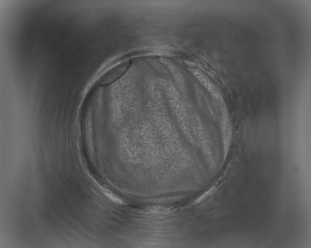 X0000082930198200702152156