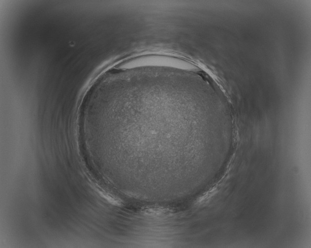 X0000082930199200702152156