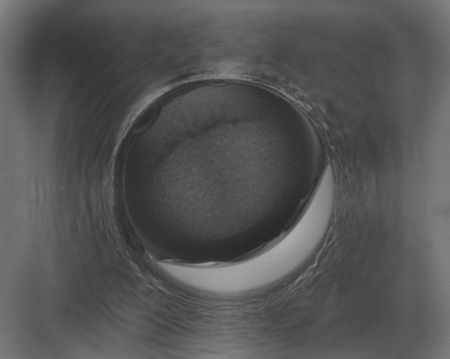 X0000082930200200702152156