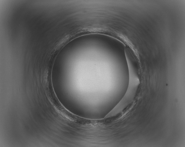 X0000082930201200702152156