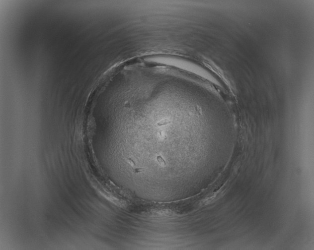 X0000082930203200702152156