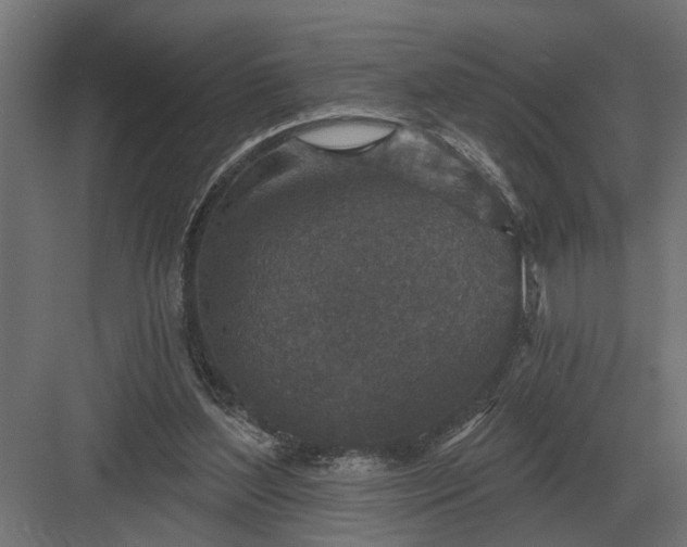 X0000082930204200702152156