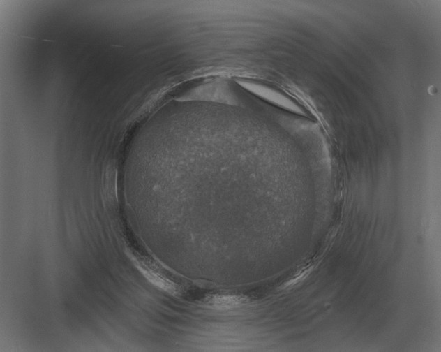 X0000082930205200702152156