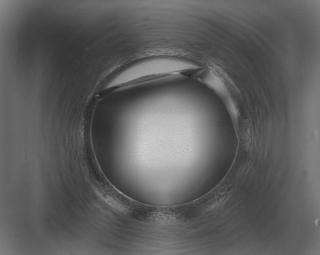 X0000082930207200702152156