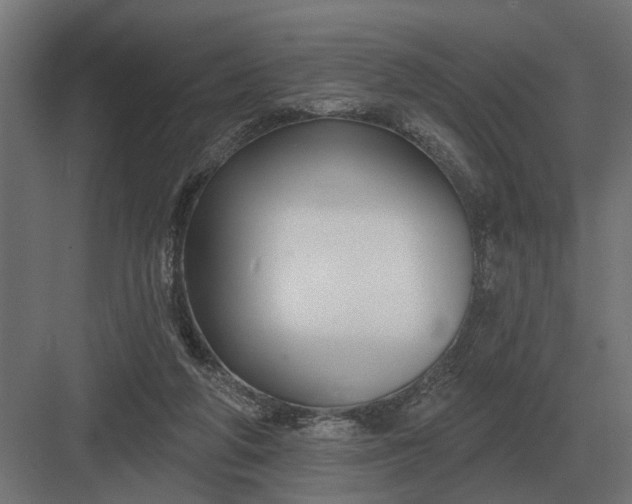 X0000082930210200702152156