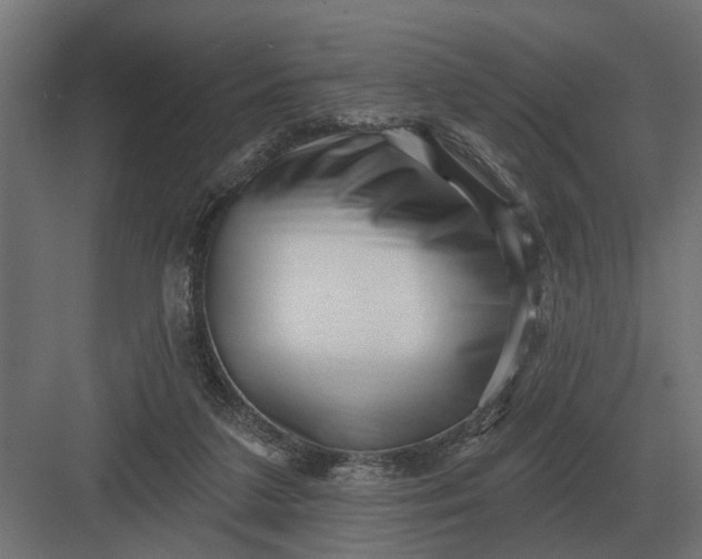 X0000082930211200702152156