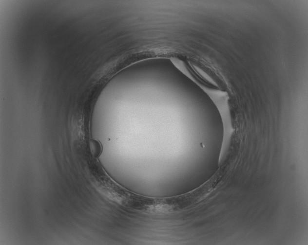 X0000082930212200702152156