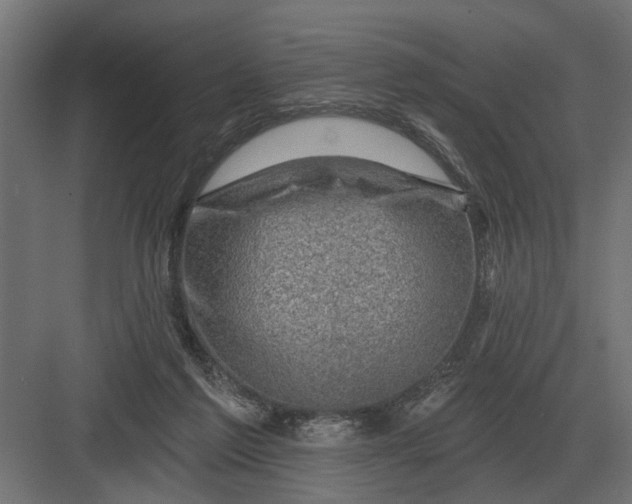 X0000082930213200702152156