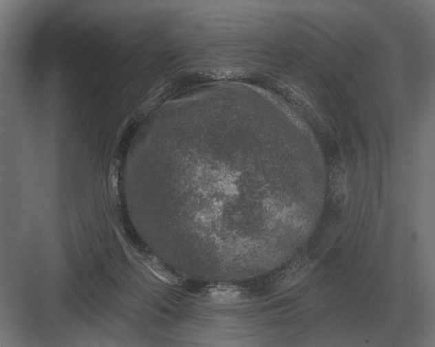 X0000082930214200702152156