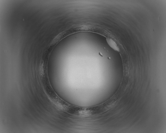 X0000082930216200702152156