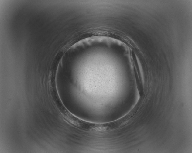 X0000082930217200702152156