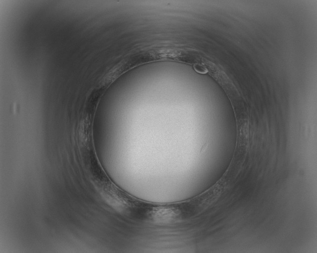 X0000082930218200702152156